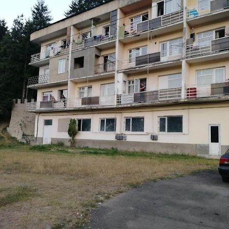 Alena'S Flat Borjomi Exterior photo