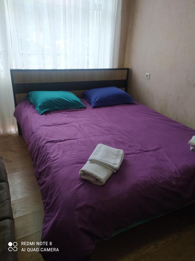 Alena'S Flat Borjomi Exterior photo