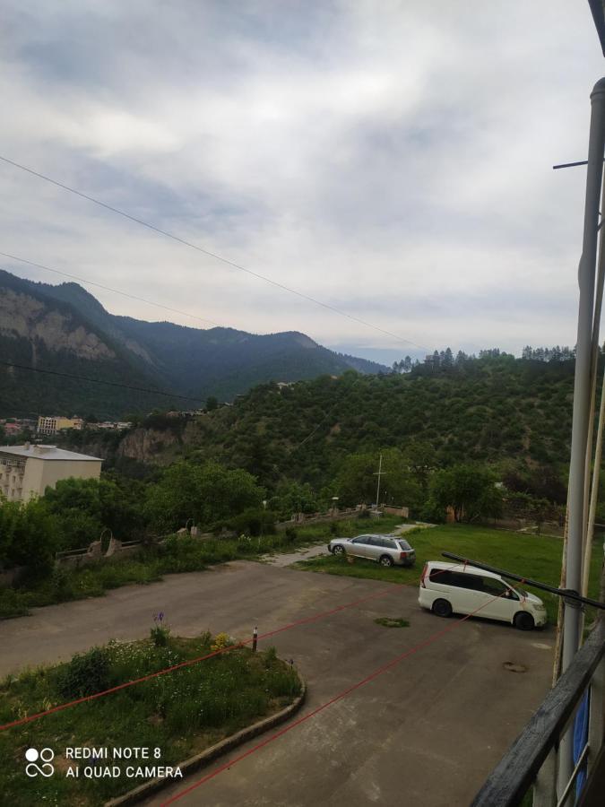Alena'S Flat Borjomi Exterior photo