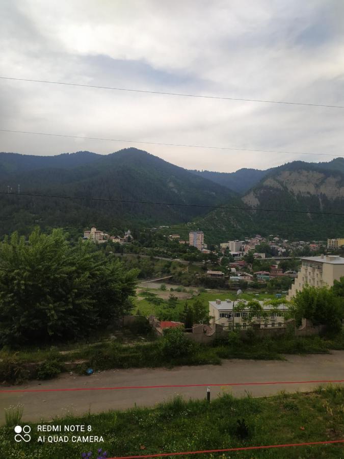 Alena'S Flat Borjomi Exterior photo