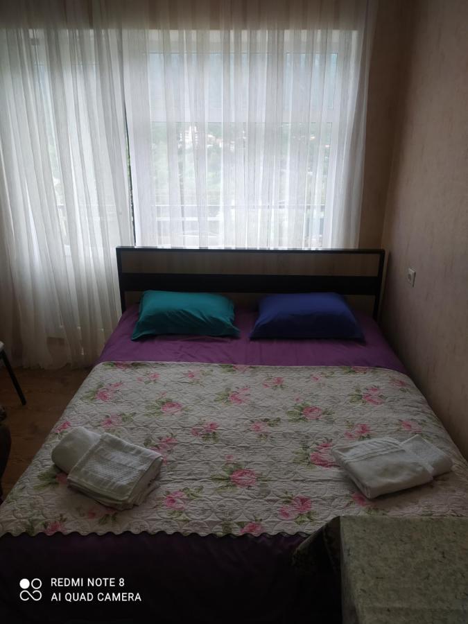 Alena'S Flat Borjomi Exterior photo