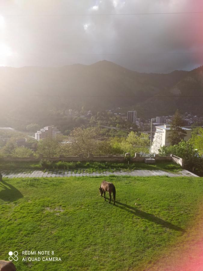 Alena'S Flat Borjomi Exterior photo