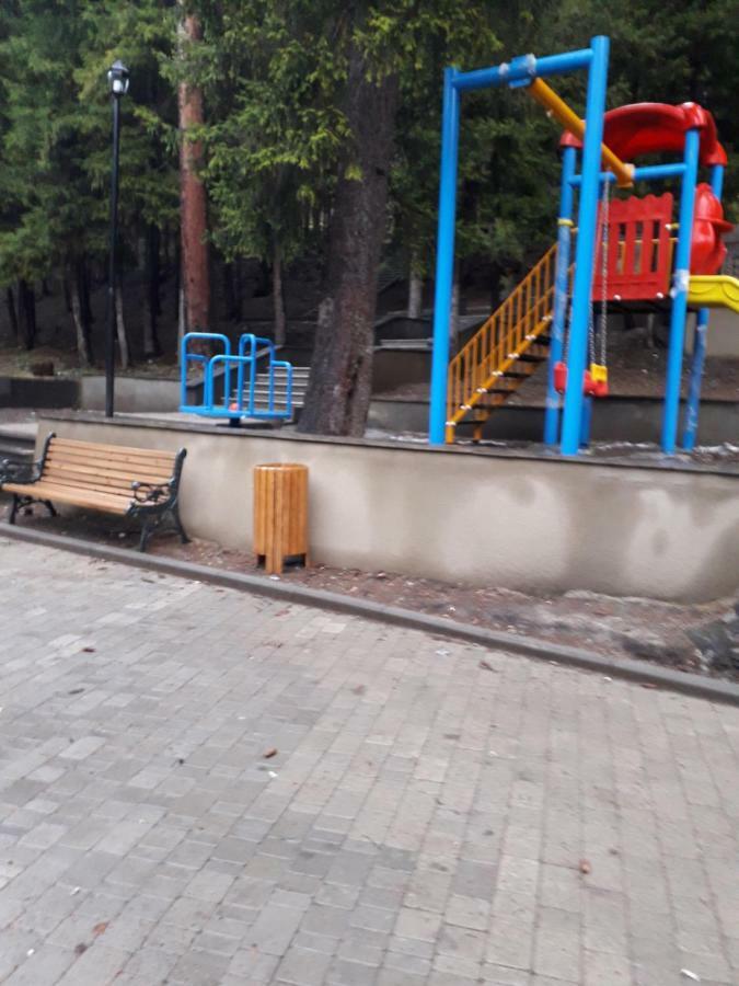 Alena'S Flat Borjomi Exterior photo
