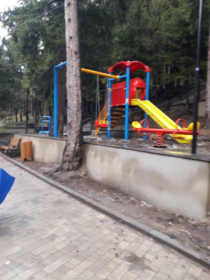 Alena'S Flat Borjomi Exterior photo