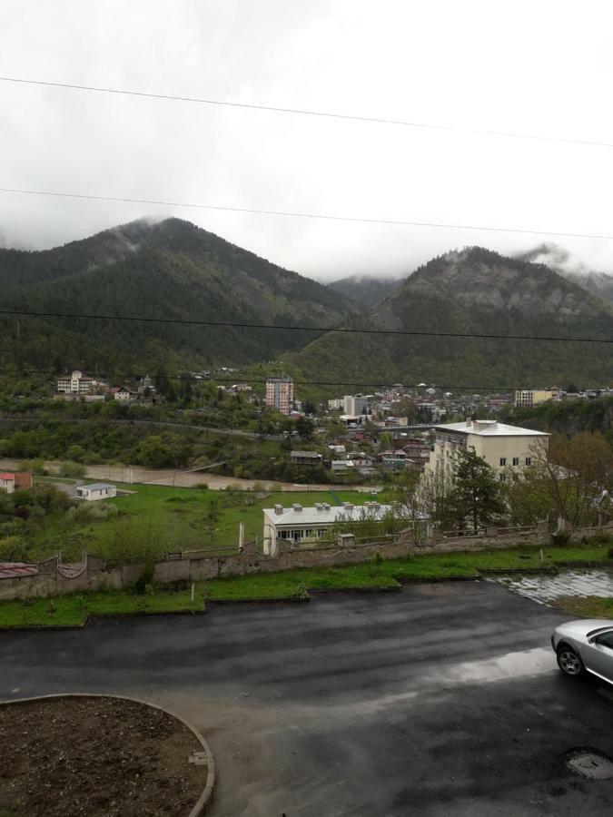 Alena'S Flat Borjomi Exterior photo