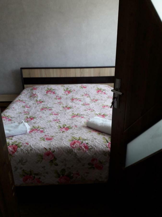Alena'S Flat Borjomi Exterior photo