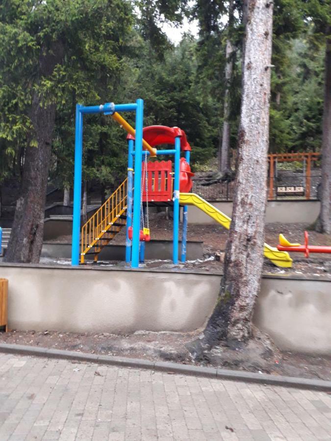 Alena'S Flat Borjomi Exterior photo
