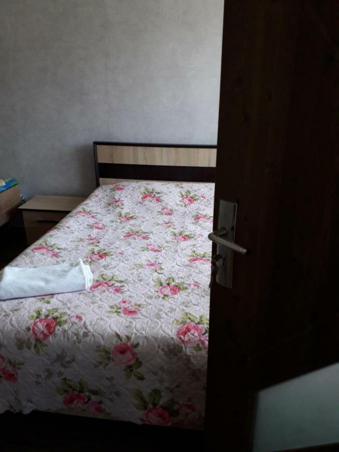 Alena'S Flat Borjomi Exterior photo